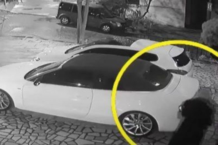 İstanbul'da gece vakti işaretler &ccedil;izdi: "Kara b&uuml;y&uuml; olduğunu d&uuml;ş&uuml;n&uuml;yorum"