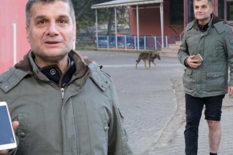 10 k&ouml;peğin saldırısına uğradı!
