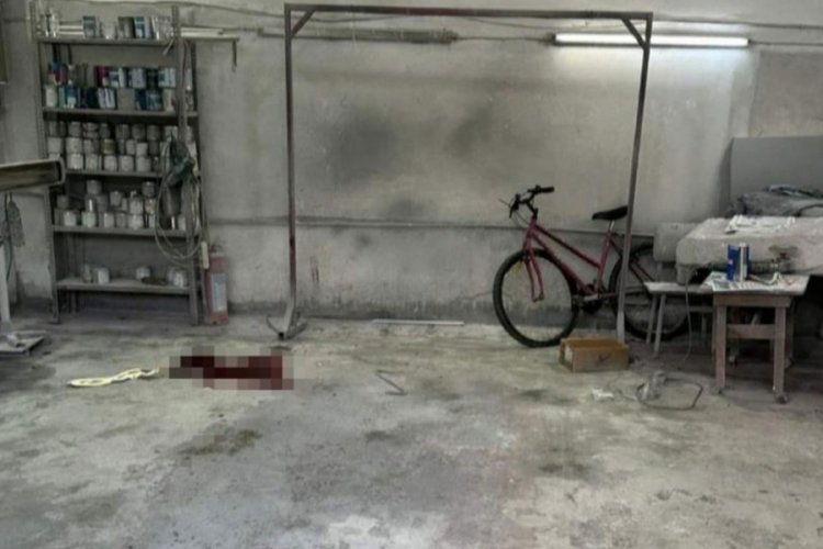 Sakarya'da k&ouml;peğin peşinden koşan &ccedil;ocuk hayatını kaybetti