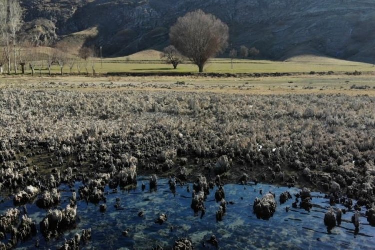 Van G&ouml;l&uuml;'nde g&ouml;renleri &uuml;zen manzara