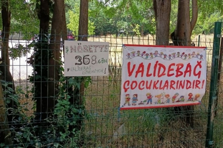İstanbul'da Validebağ Korusu i&ccedil;in &ccedil;ıkartılan imar planları, mahkemece iptal edildi