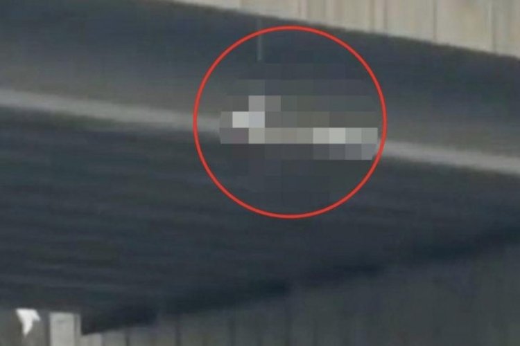 İstanbul'da kedi cesedini k&ouml;pr&uuml;den sarkıttılar