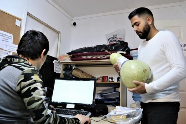 Antalya'da halk otob&uuml;s&uuml;nde unutulanlar şaşırttı!