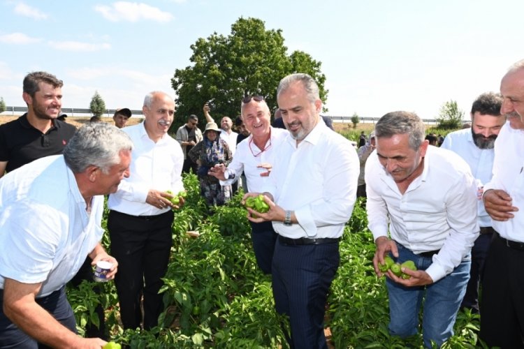 Bursa B&uuml;y&uuml;kşehir, &ccedil;ift&ccedil;iye desteğiyle tarlada iz bıraktı