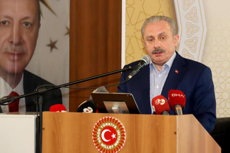TBMM Başkanı Şentop: T&uuml;rkiye'nin d&uuml;şmanlığı &ccedil;ok tehlikelidir