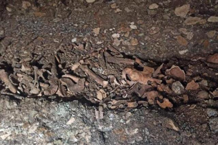 Adıyaman'da 1600 yıllık insan kemikleri bulundu