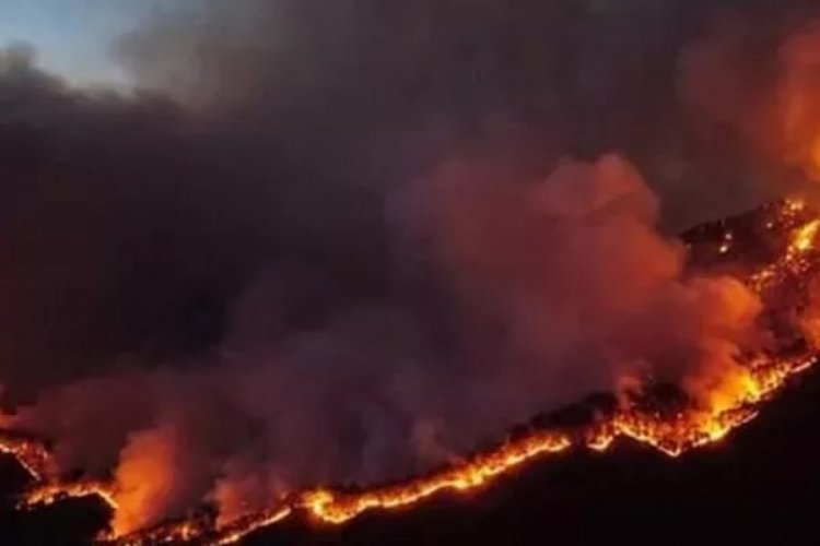 Meksika'da korkutan orman yangını