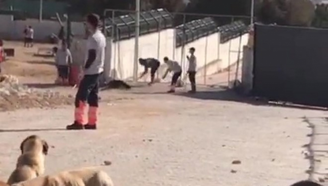 Konya'daki barınaktaki katliama tutuksuz yargılama kararı