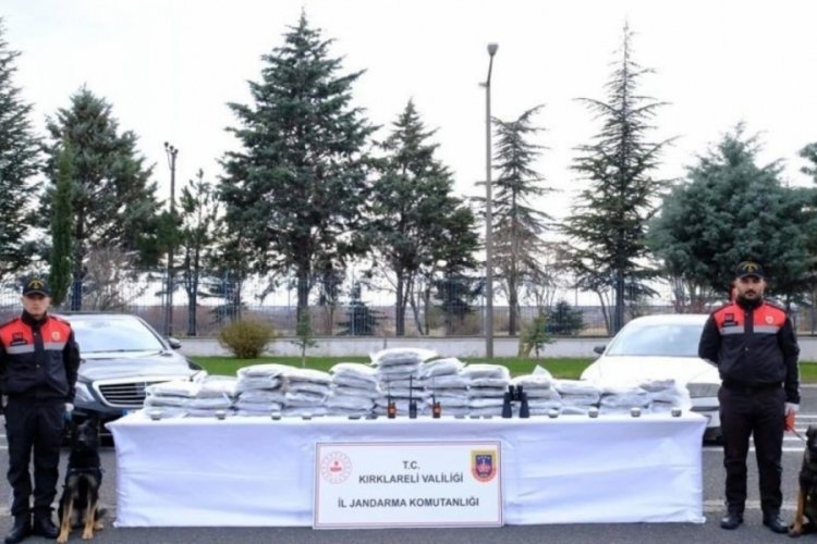 Kırklareli'nde bir yılda 2 milyon 878 bin 335 k&ouml;k kenevir ele ge&ccedil;irildi