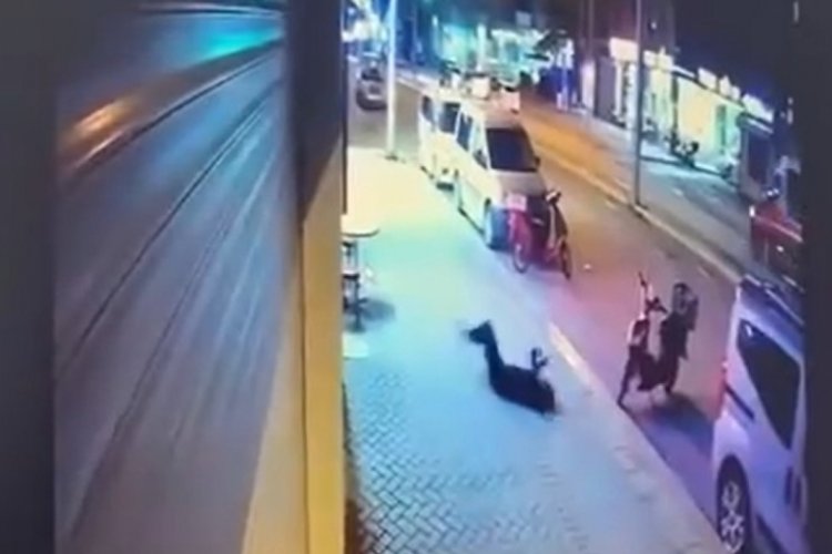 İkinci kattan d&uuml;şen kadın yaşamını yitirdi