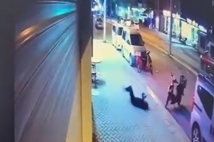 Eskişehir'de evinin penceresinden d&uuml;şerek yaşamını yitiren kadının sevgilisi tutuklandı