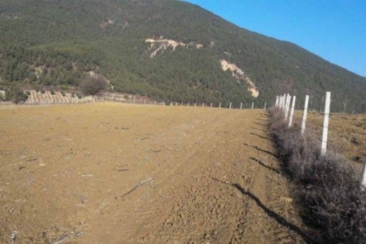 Bursa Orhangazili &ccedil;ift&ccedil;inin kuraklık korkusu!