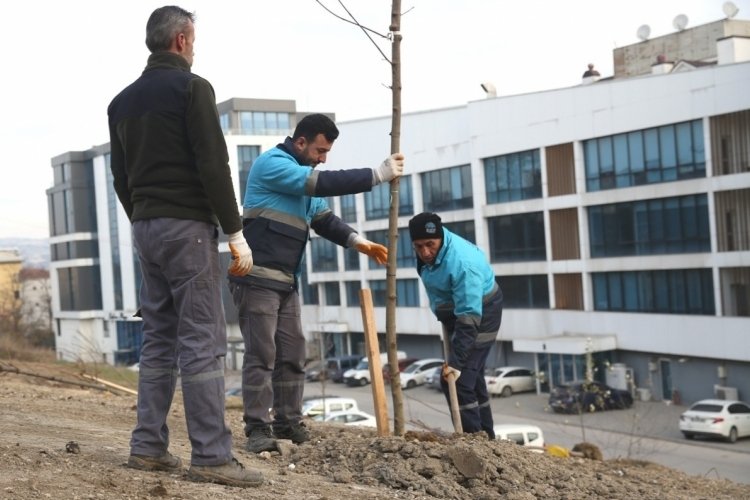 Bursa Nil&uuml;fer'de ağa&ccedil;landırma &ccedil;alışmaları başladı