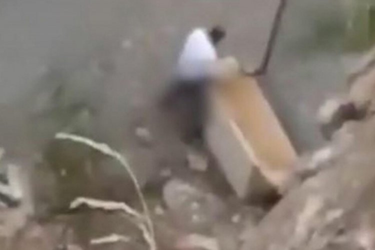 İzmir'de yavru k&ouml;peğe cinsel istismarın cezası belli oldu
