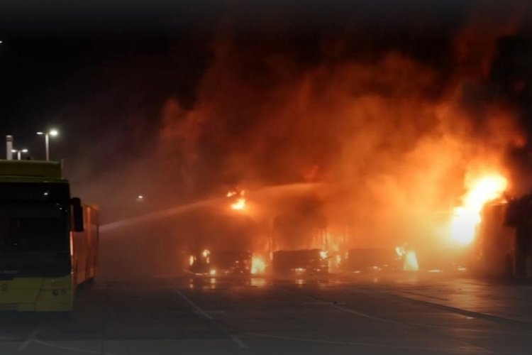 Hollanda'da 14 otob&uuml;s yandı