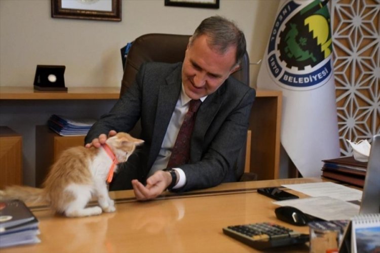 Bursa İneg&ouml;l'de can dostlar g&uuml;vende