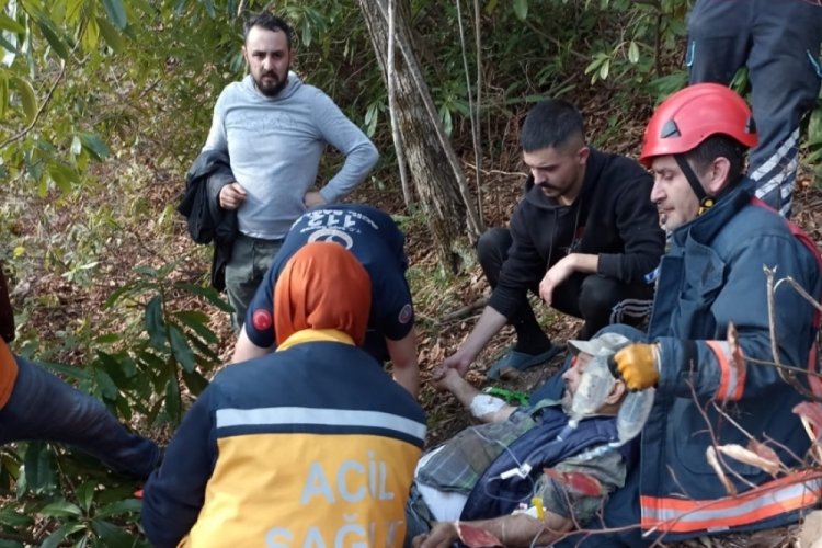 Ordu'da kestikleri ağacın altında kaldılar! Hastaneye kaldırıldılar