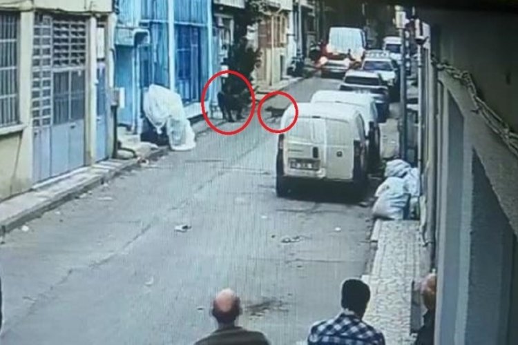 Bursa'daki pitbull saldırısında baba-oğula hapis cezası istendi