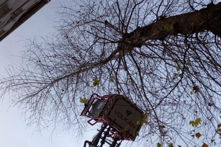 Bursa Orhangazi'de itfaiye ekiplerinden kedi kurtarma operasyonu