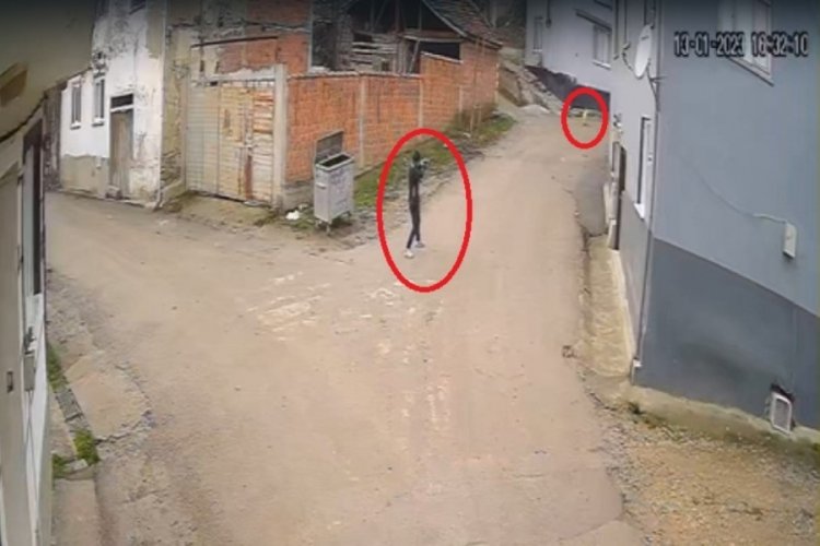 Bursa'da bir kişi k&ouml;peği pompalı t&uuml;fekle &ouml;ld&uuml;rd&uuml;
