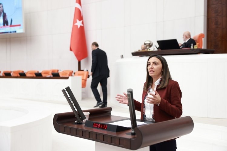 CHP Bursa Milletvekili Kayışoğlu'ndan 'Uludağ Alan Başkanlığı' tepkisi