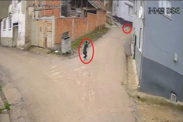 Bursa'da pompalı t&uuml;fekle k&ouml;peği &ouml;ld&uuml;ren şahıs bir k&ouml;peği daha vurmuş