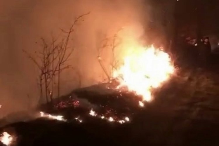 Sakarya'da tedirgin eden orman yangını