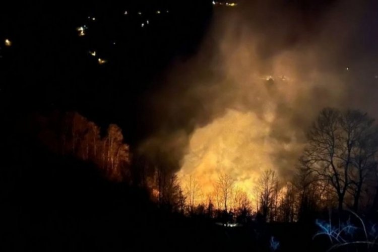 Sakarya'da kontrol altına alınan orman yangını yeniden başladı