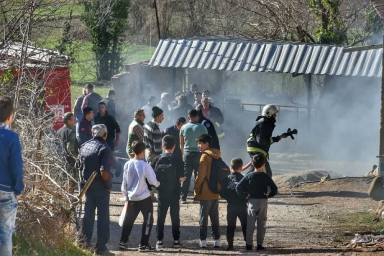 Bursa'da &ccedil;iftlik yangını
