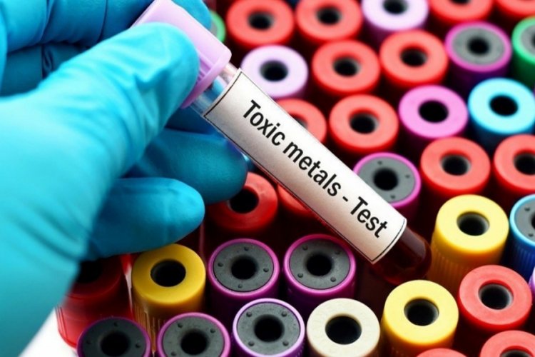 140 bin Zambiyalı, G&uuml;ney Afrika şirketine dava a&ccedil;tı