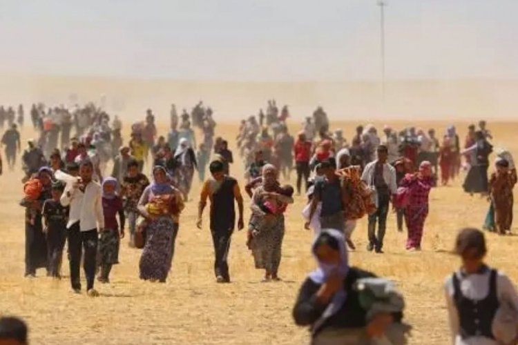 DEAŞ'ın Ezidi katliamını, Almanya soykırım olarak tanıdı