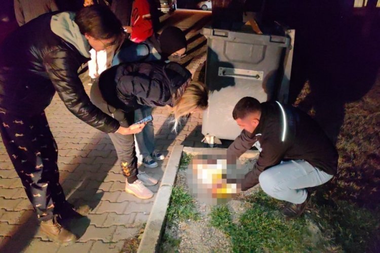 Bursa'da 7 ayda baktığı 6 kediden 5'i &ouml;ld&uuml;r&uuml;ld&uuml;, 1'i kayboldu