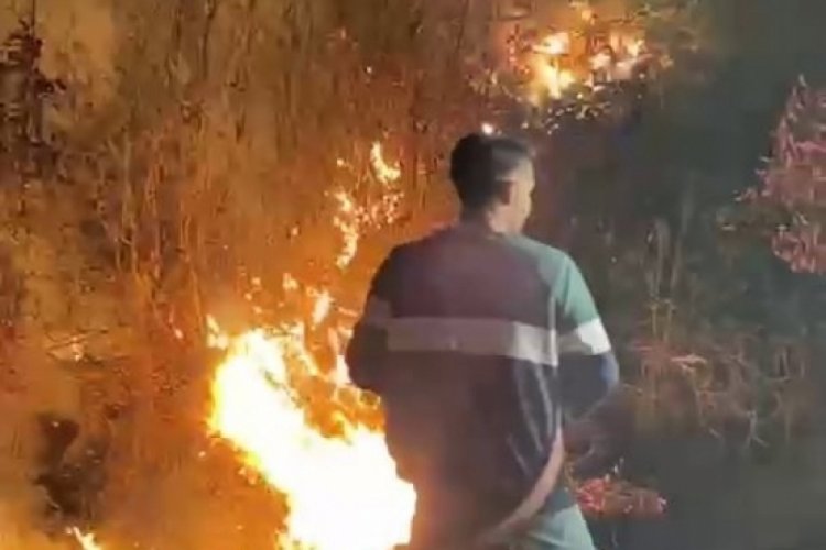 Sakarya'da ormanlık alanda &ccedil;ıkan yangın s&ouml;nd&uuml;r&uuml;ld&uuml;