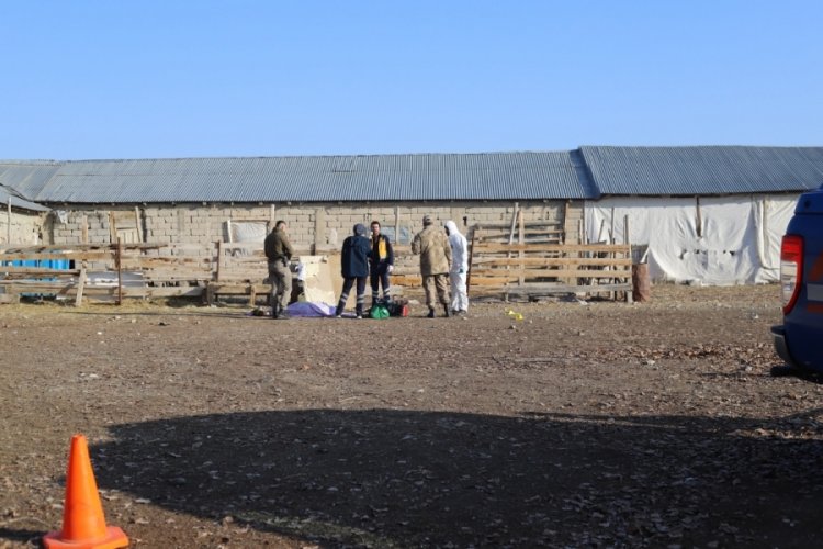 Ağrı'da silahlı saldırı: 3 kişi &ouml;ld&uuml;
