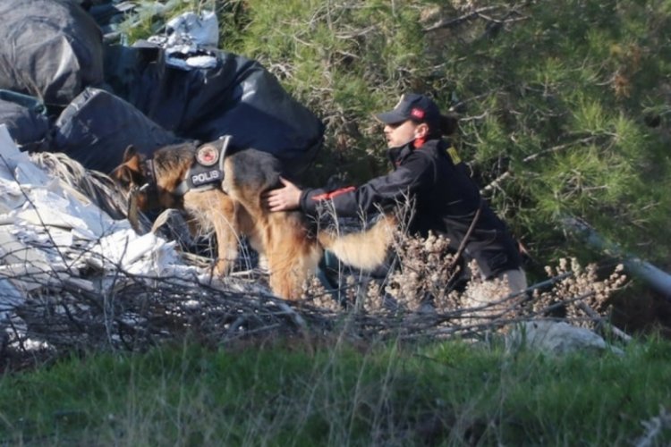Denizli'de Kayıp Mine kadavra k&ouml;pekleri ile aranıyor