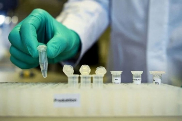 Bayer de Almanya'dan gidiyor