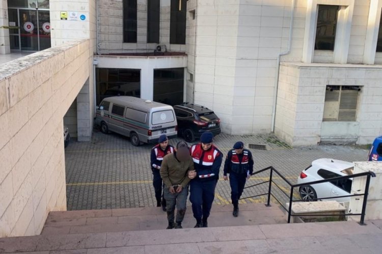 Balıkesir'de zeytin hırsızları yakalandı