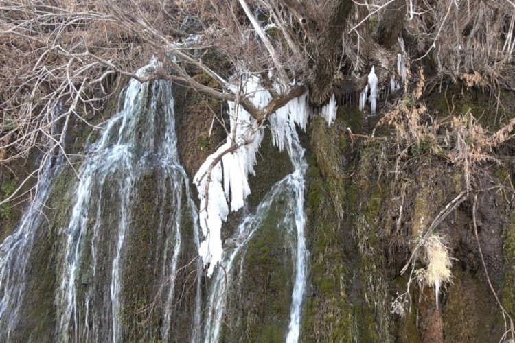Bitlis'te 'Arpet Şelalesi' buz tuttu
