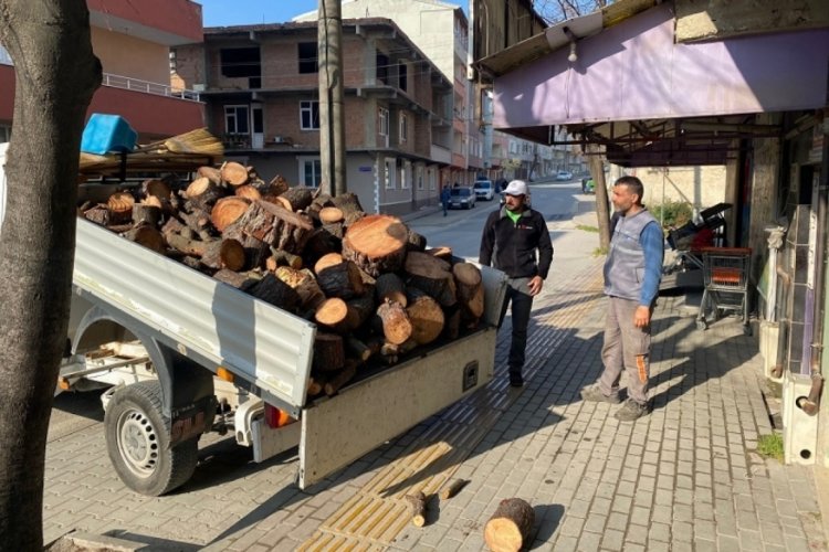 Bursa Orhangazi'de budanan ağa&ccedil;lar ihtiya&ccedil; sahiplerine gidiyor