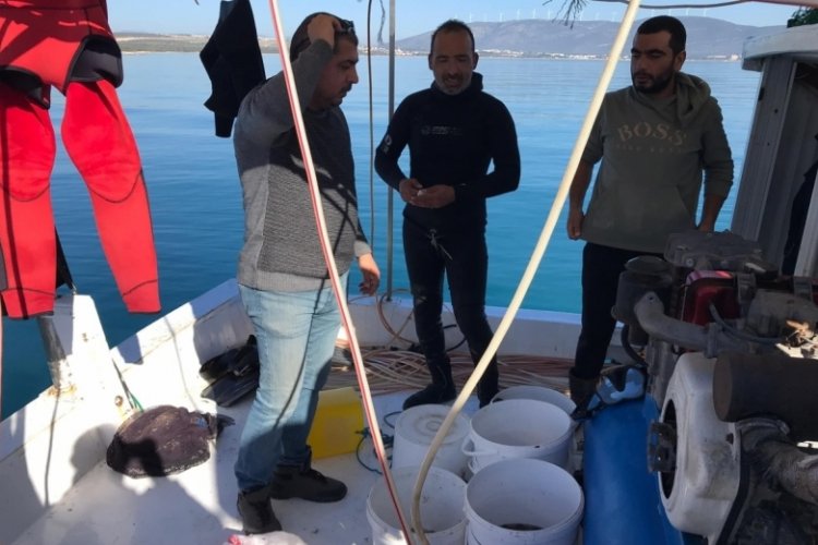 Aydın'da balık&ccedil;ılar denetlendi