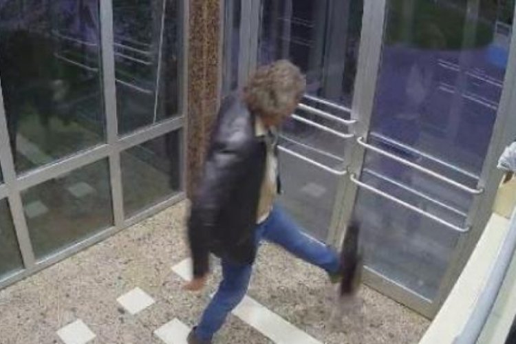 İstanbul'da kedi d&uuml;şmanı kediyi dakikalarca d&ouml;vd&uuml;