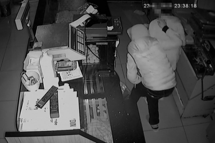 Aydın'da tatlı hırsızları kameraya yakalandı