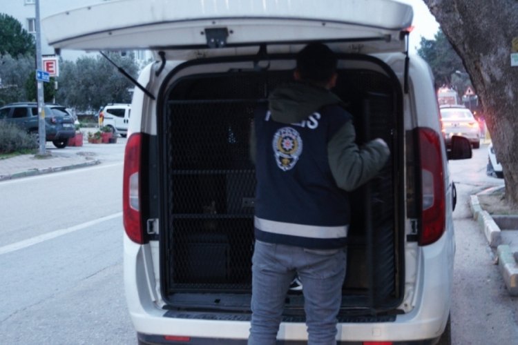 Bursa'da hırsızlık zanlısı 9 kişi tutuklandı!