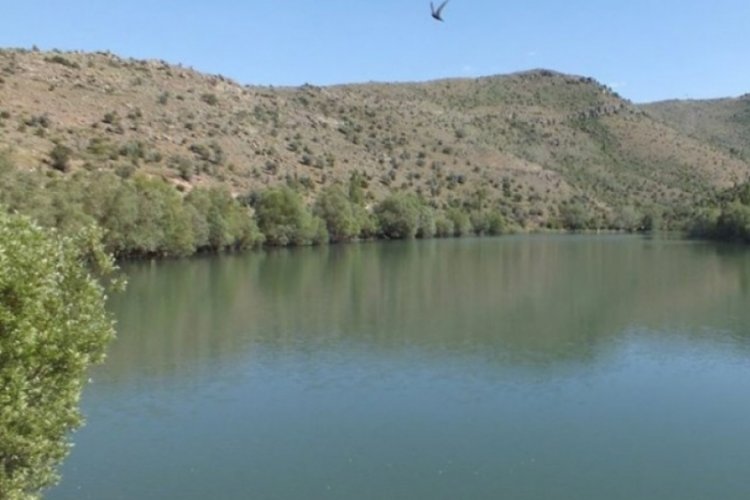 Kayseri'de g&ouml;lete devrilen iş makinesinde acı son