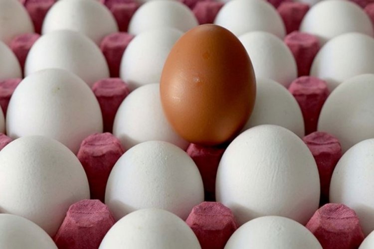Yumurta fiyatı artışları devam ediyor