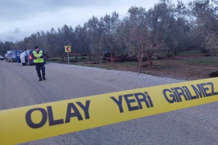Bursa'da hayvan g&uuml;bresinden kadın cesedi &ccedil;ıkmıştı! 4 kişi g&ouml;zaltına alındı