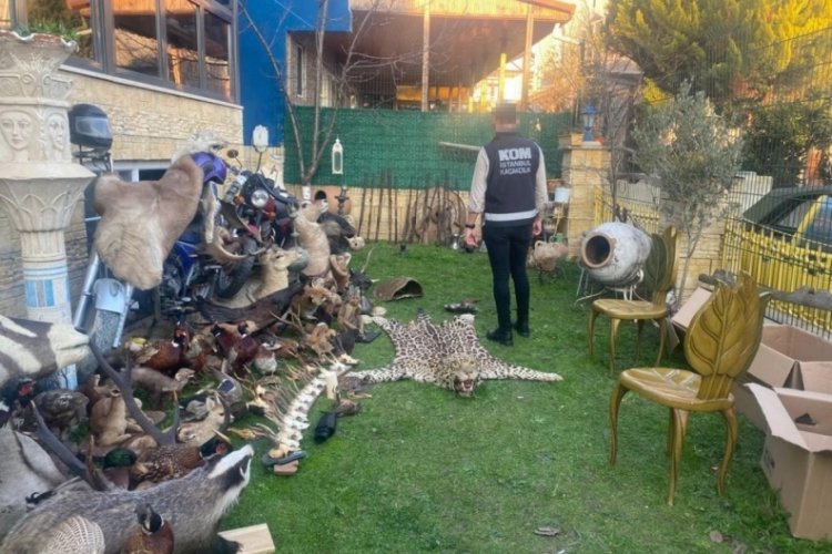 Silivri'de tarihi eser operasyonu! Bir kişi g&ouml;zaltına alındı