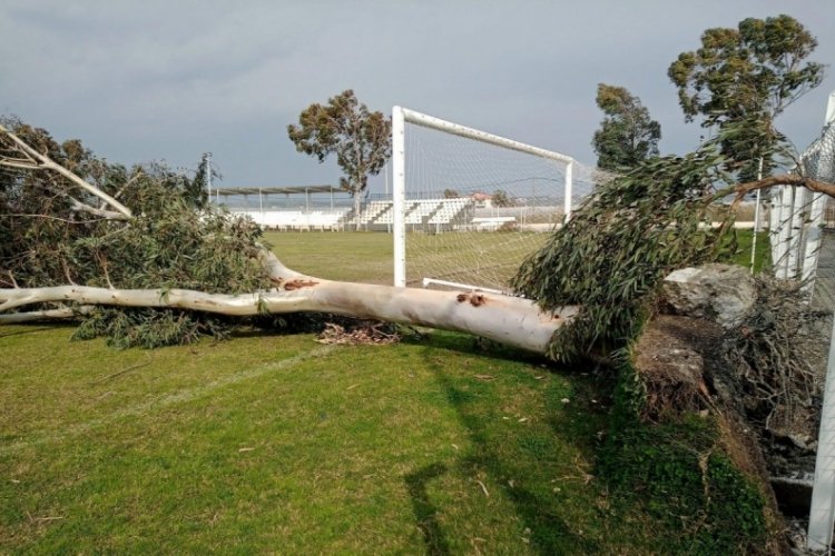 Antalya'da fırtına! Ağa&ccedil;lar devrildi
