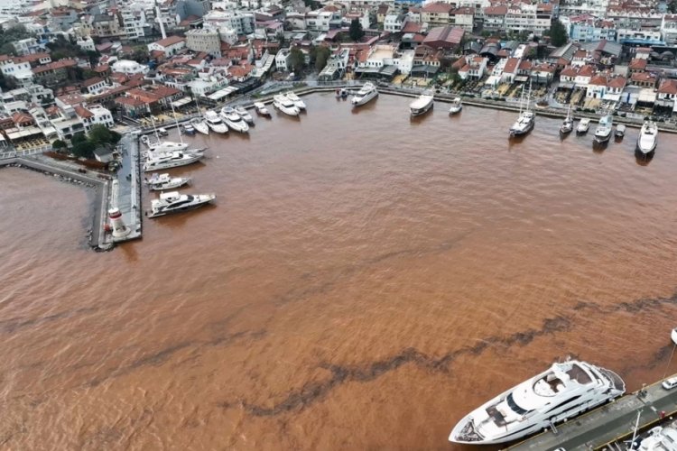 Muğla'da tedirgin eden g&ouml;r&uuml;nt&uuml;: Denizin rengi değişti