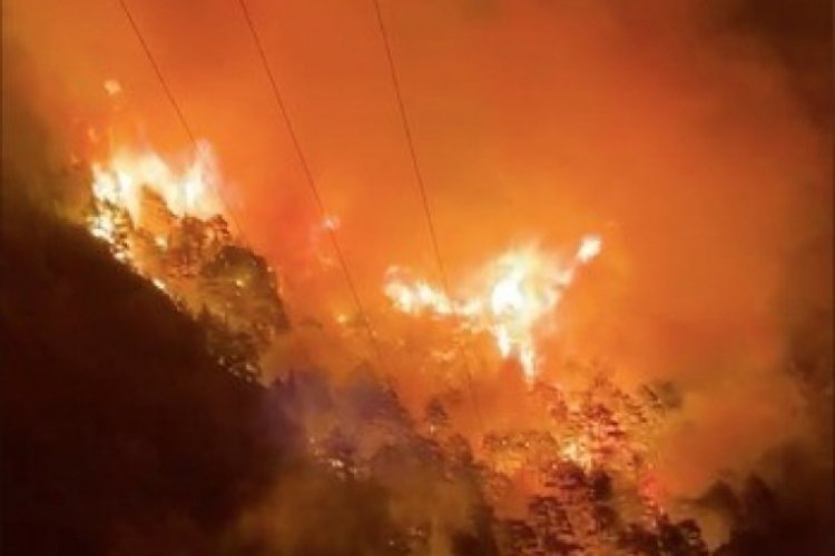 Alanya'da orman yangını &ccedil;ıktı